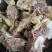 牛短排多肉牛短排，适合卤炖，红烧，爆炒等。肉多口感好。