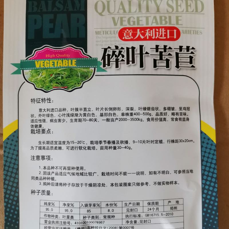 郑研苦菊种子菊仙子碎叶苦菊种子精选纯度高