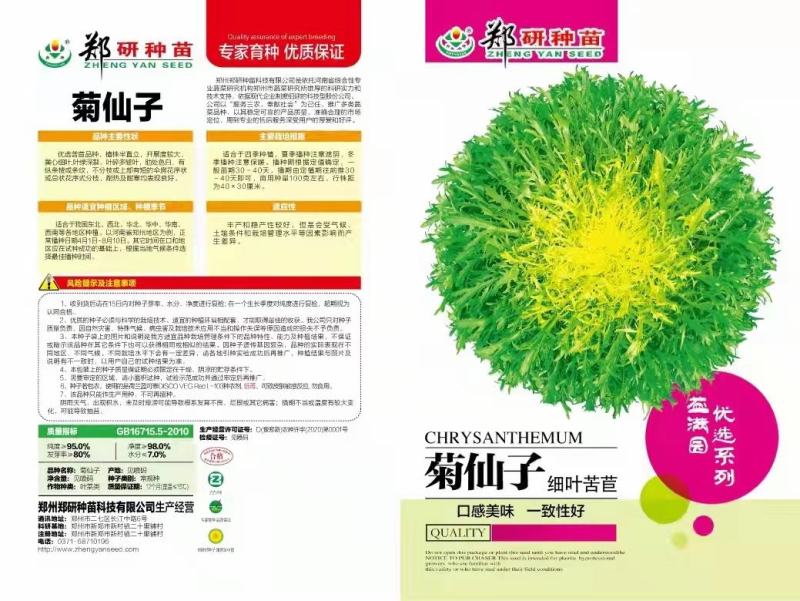 郑研苦菊种子菊仙子碎叶苦菊种子精选纯度高