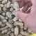 鲜花生白沙小白沙，四粒红罗汉果。市场档口超市信阳