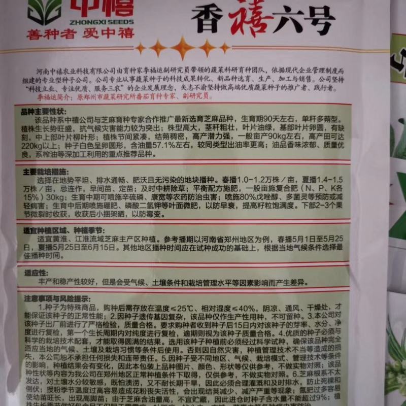 郑研禧芝六号芝麻种子黑芝麻白芝麻种子100g