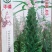 黑芝麻种子白芝麻种子郑芝麻种子100g