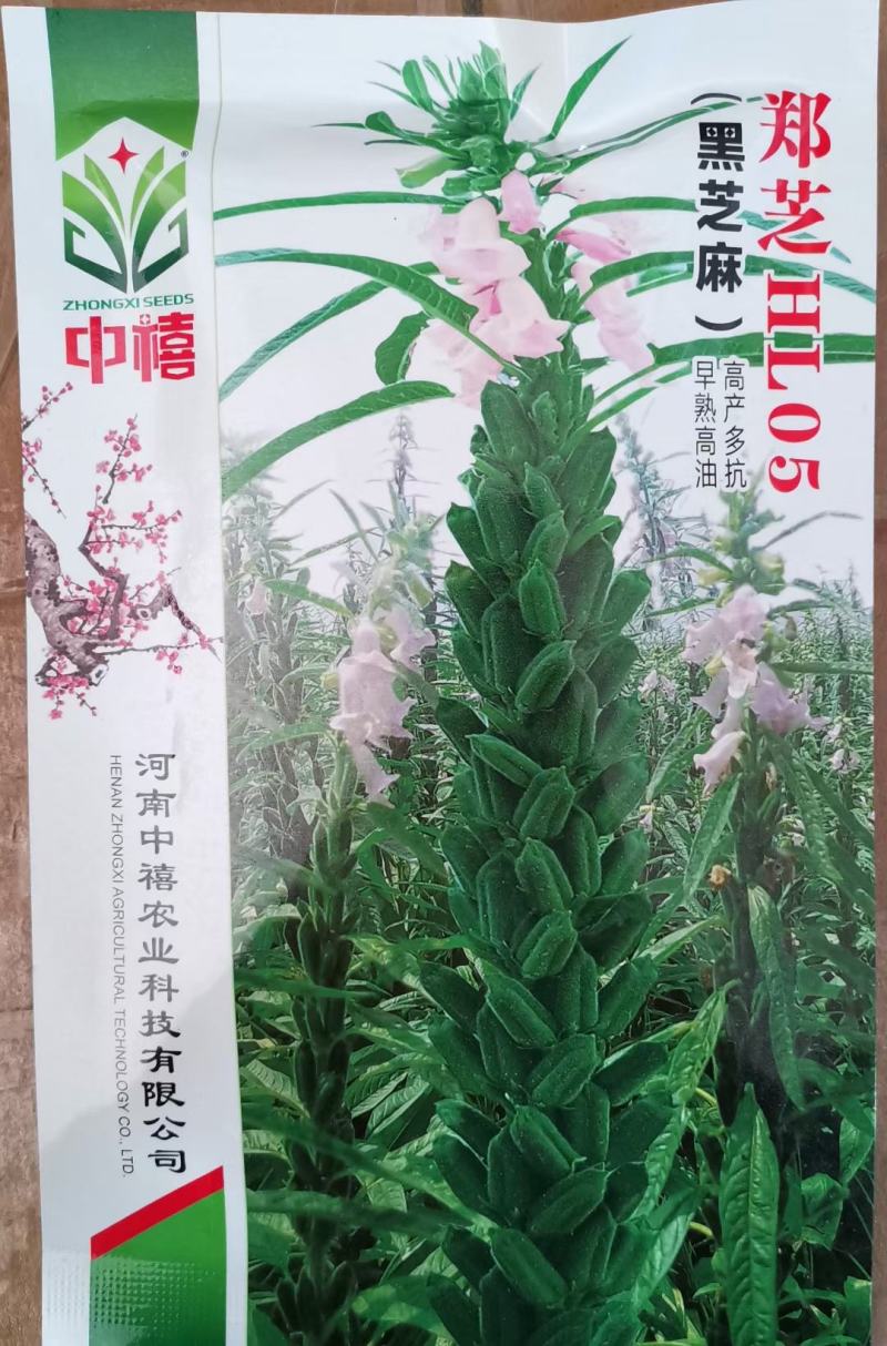 黑芝麻种子白芝麻种子郑芝麻种子100g