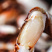 沙蟹钳批发捞汁原料批发