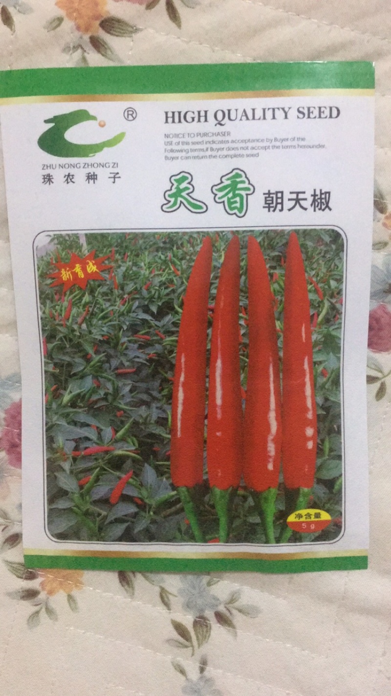 天香朝天椒种子，抗病需要的请联系，诚信经营，平台下单
