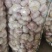 邳州精品净蒜分级蒜新蒜长年供货质量保证
