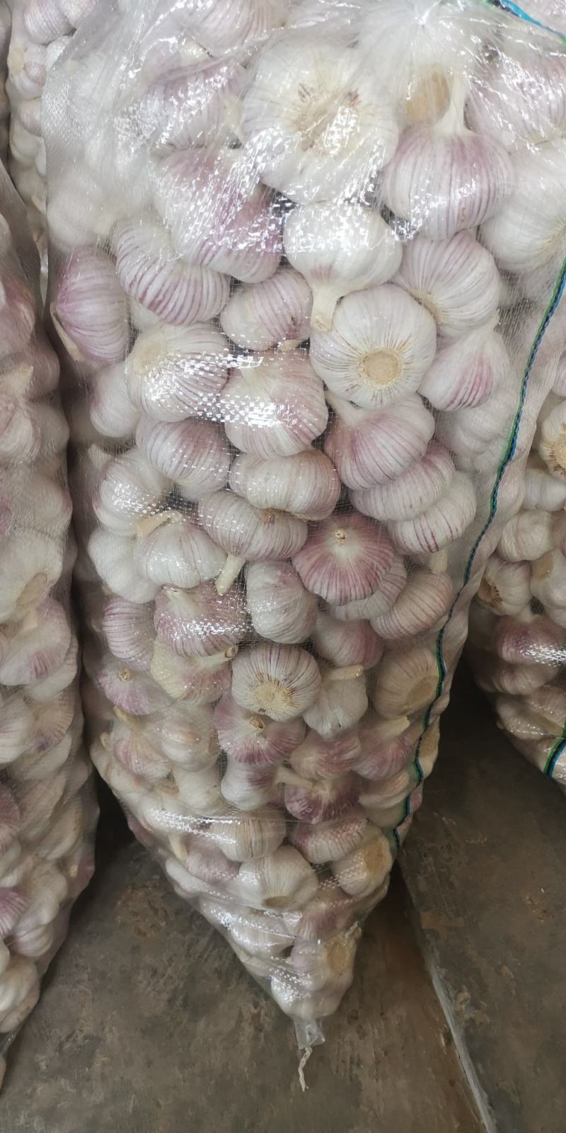 邳州精品净蒜分级蒜新蒜长年供货质量保证