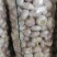 邳州精品净蒜分级蒜新蒜长年供货质量保证