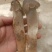 鸡枞菌，火把菌