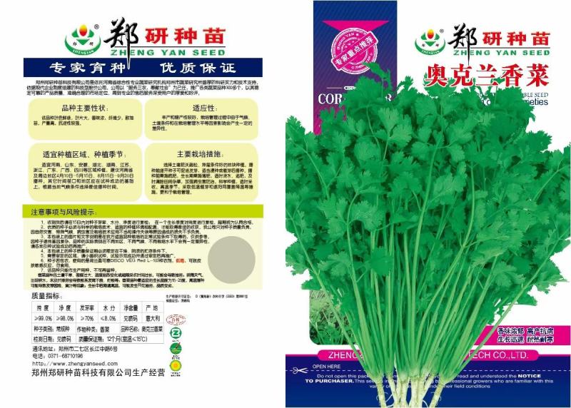郑研波尔图香菜种子澳洲耐热香菜种子一袋一斤
