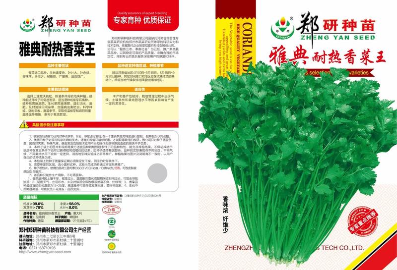 郑研波尔图香菜种子澳洲耐热香菜种子一袋一斤