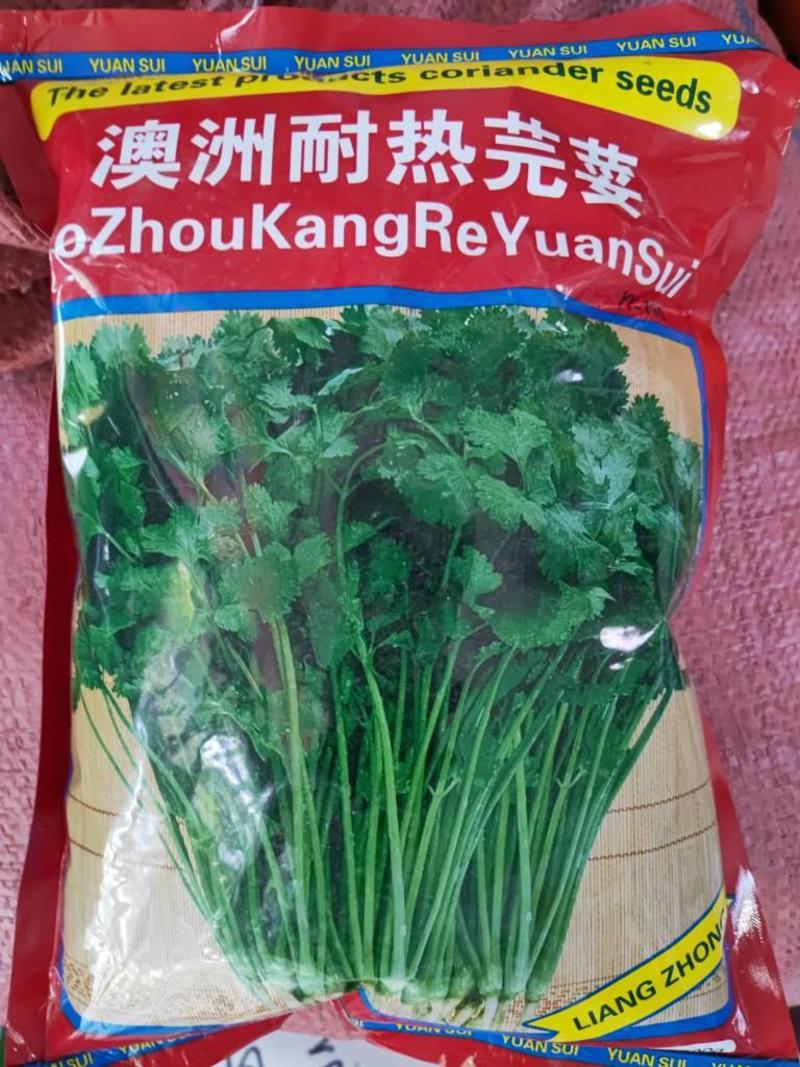 郑研波尔图香菜种子澳洲耐热香菜种子一袋一斤