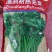 郑研波尔图香菜种子澳洲耐热香菜种子一袋一斤