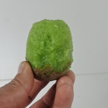 博山绿心碧玉猕猴桃大量上市