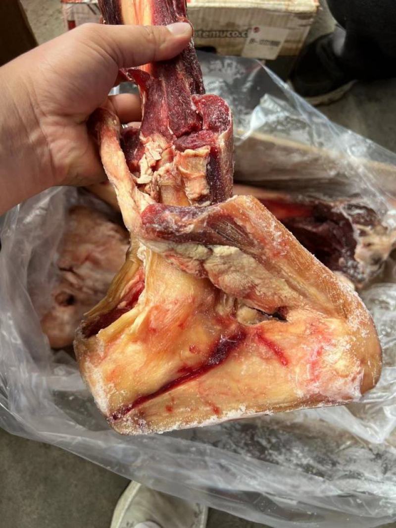 肉牛棒骨，满满的骨髓！吃肉，喝汤，吃骨髓！一举三得！