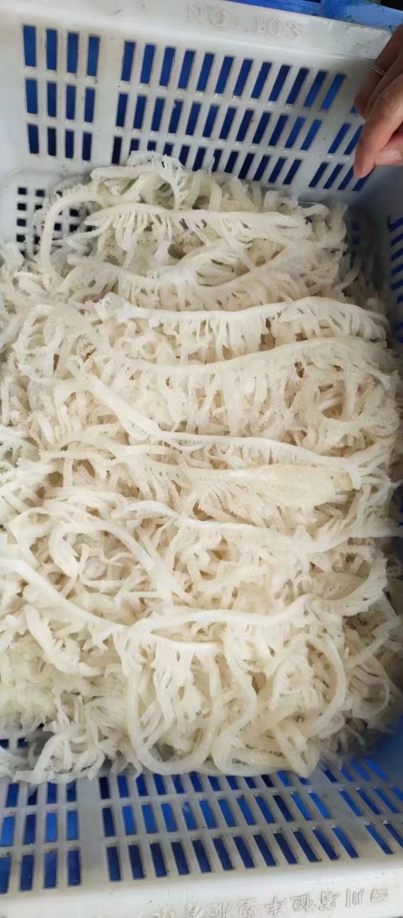 千层