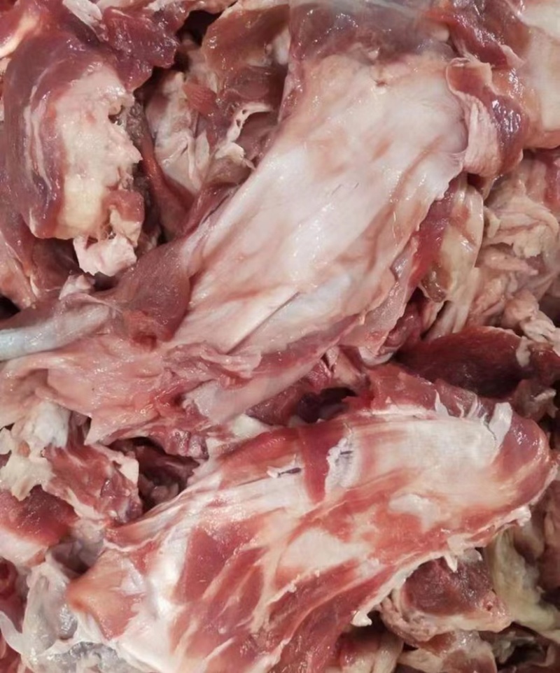 牛肉筋