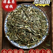 （热销）柴胡苗今年新货颜色鲜健康无硫严于品质祥泰药材栈