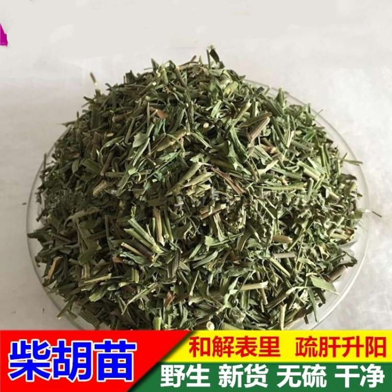 （热销）柴胡苗今年新货颜色鲜健康无硫严于品质祥泰药材栈
