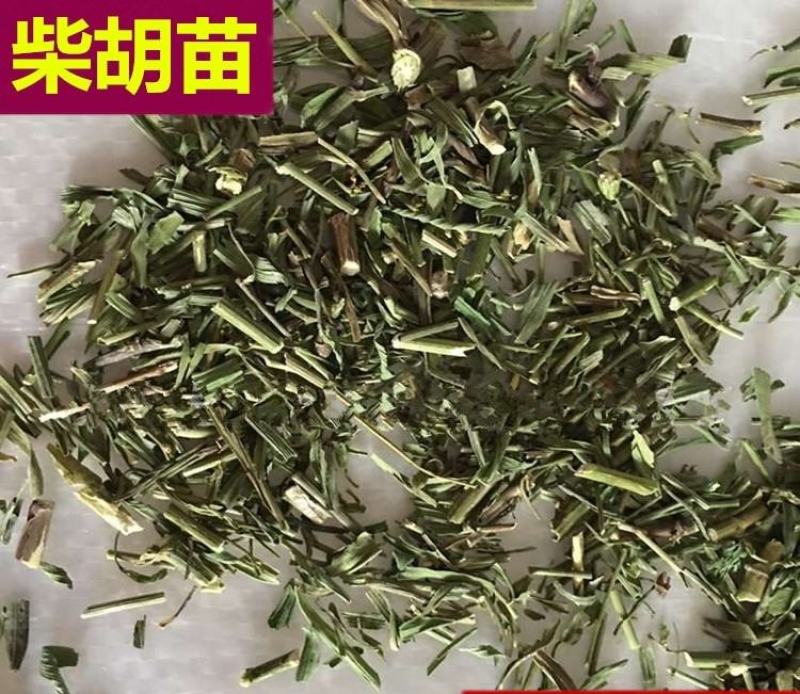 （热销）柴胡苗今年新货颜色鲜健康无硫严于品质祥泰药材栈