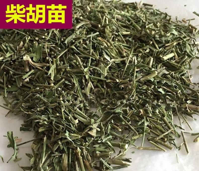 （热销）柴胡苗今年新货颜色鲜健康无硫严于品质祥泰药材栈