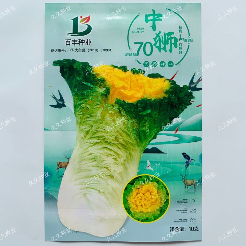 中狮头大白菜种子秋播黄心菜种籽山东百丰黄芽菜农家秋冬白菜