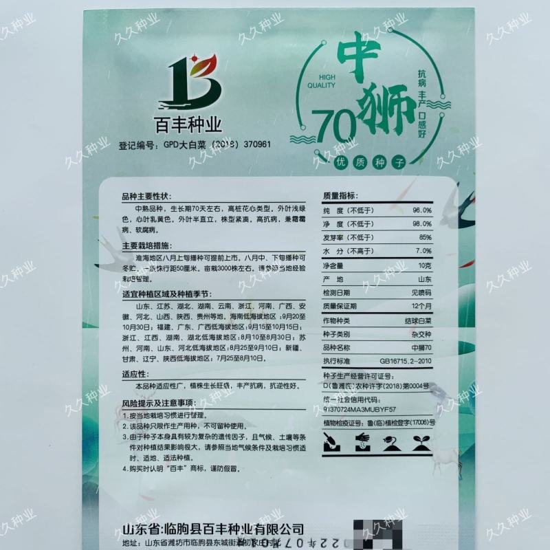 中狮头大白菜种子秋播黄心菜种籽山东百丰黄芽菜农家秋冬白菜