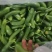 黄瓜扭水果黄瓜次品山东菏泽小黄瓜种植基地