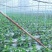 黄瓜扭水果黄瓜次品山东菏泽小黄瓜种植基地