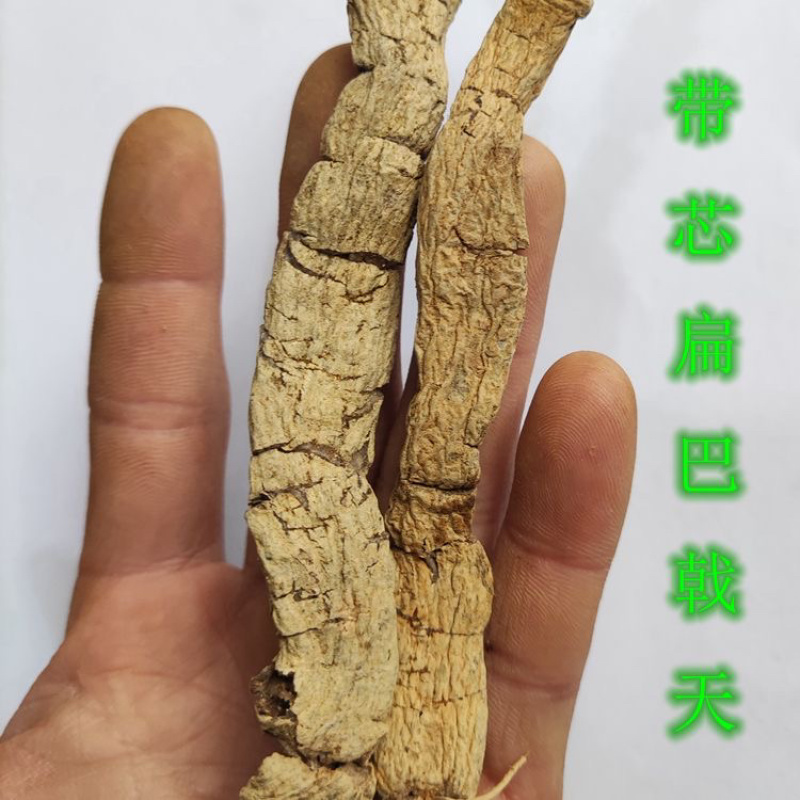 特大巴戟天手工压片干片质量保证