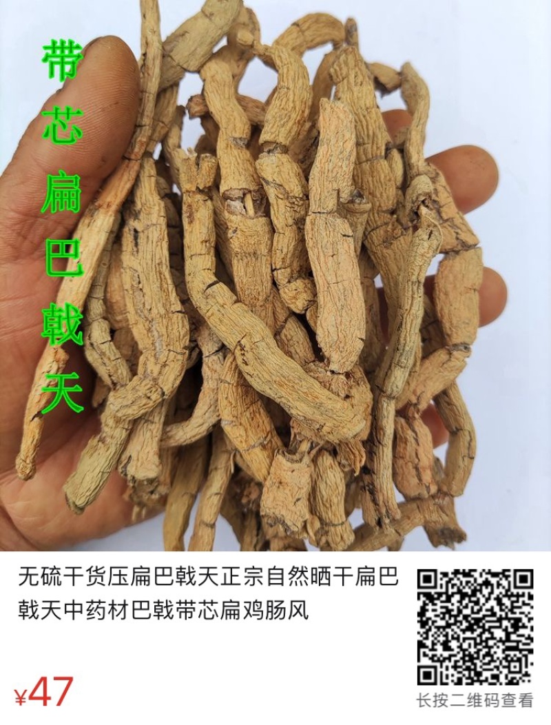 特大巴戟天手工压片干片质量保证