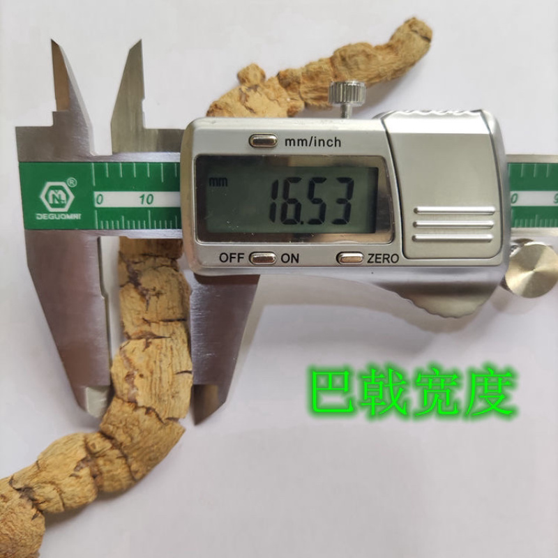 特大巴戟天手工压片干片质量保证