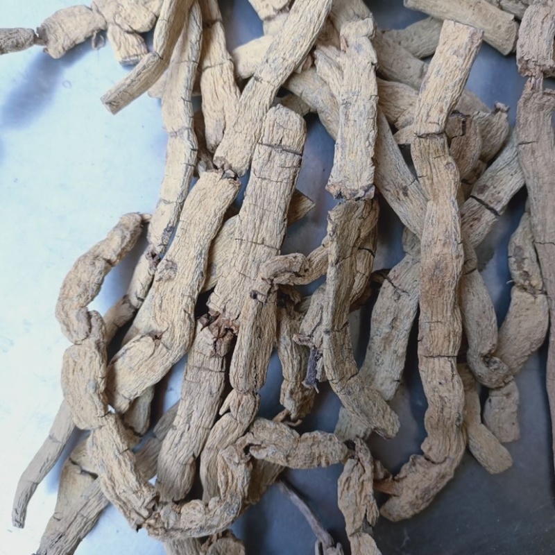 特大巴戟天手工压片干片质量保证
