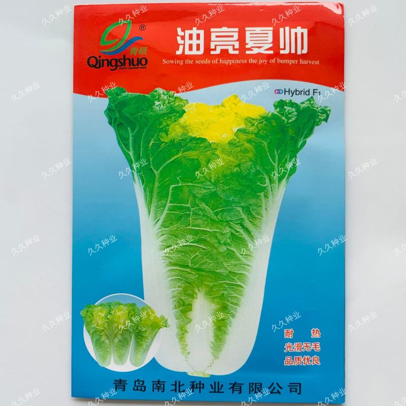 油亮夏帅白菜种子耐热早熟速生小白菜抗热黄心白菜种籽