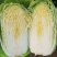 青硕夏美白菜种子夏秋季耐热结球大白菜种籽夏帅黄心菜蔬菜种