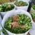 非洲茉莉、非洲茉莉袋苗灰莉、鲤鱼胆、灰刺木
