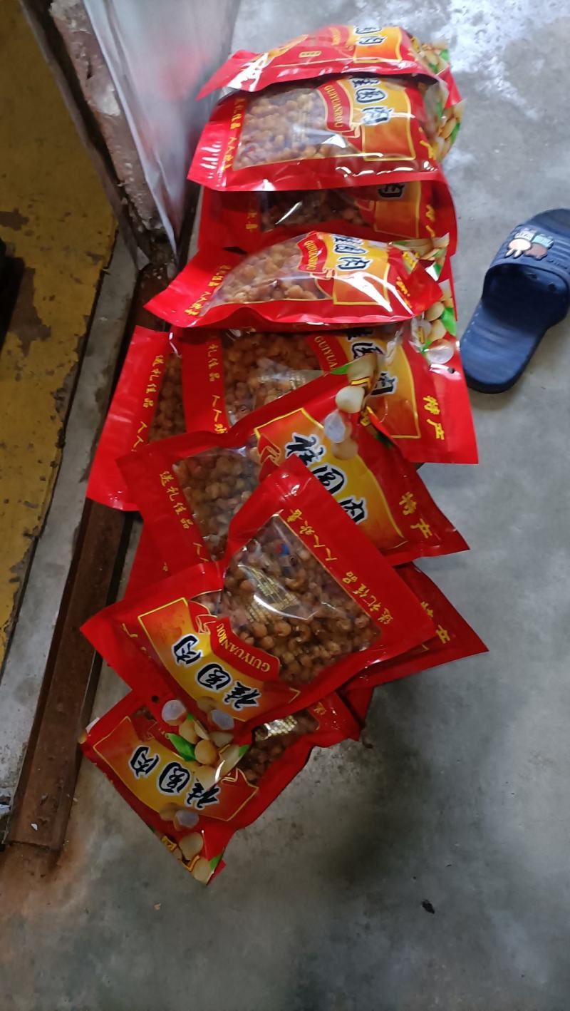 广西博白县桂圆肉之乡桂圆肉