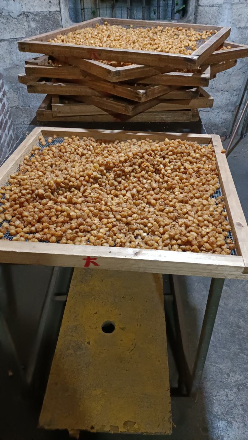 广西博白县桂圆肉之乡桂圆肉