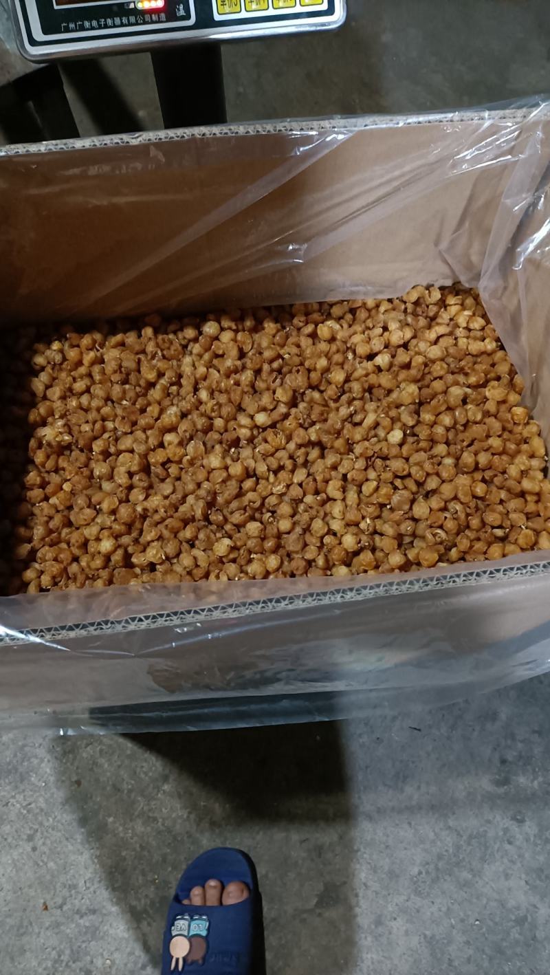 广西博白县桂圆肉之乡桂圆肉