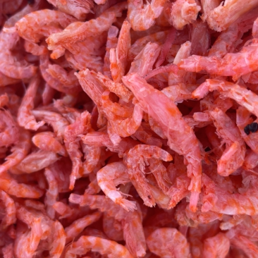 麟虾米淡干无盐虾仁口感好干度好现货供应纯净肉