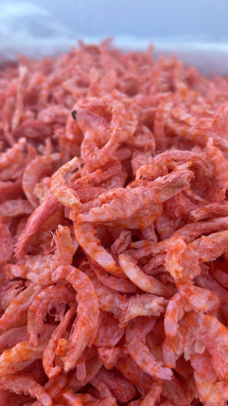 麟虾米淡干无盐虾仁口感好干度好现货供应纯净肉