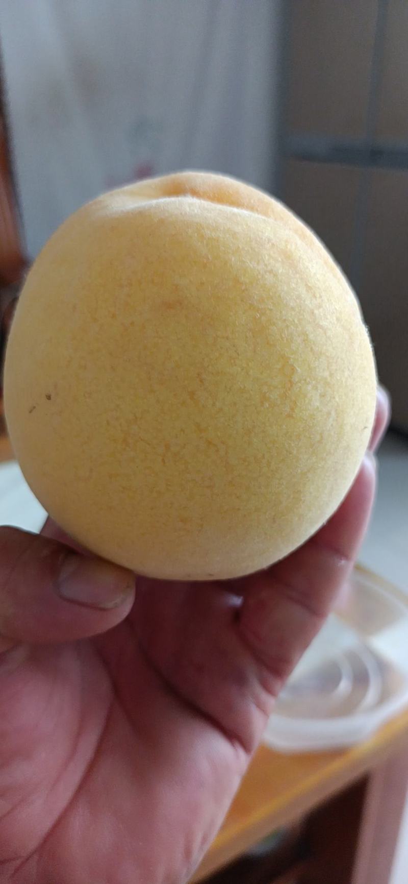 黄金蜜桃，大量上市，物美价廉