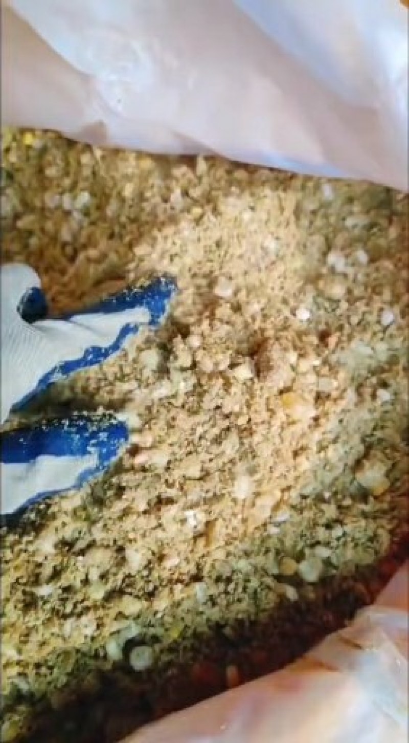 益生菌玉米蛋白发酵料提高免疫力消化系统质量保证