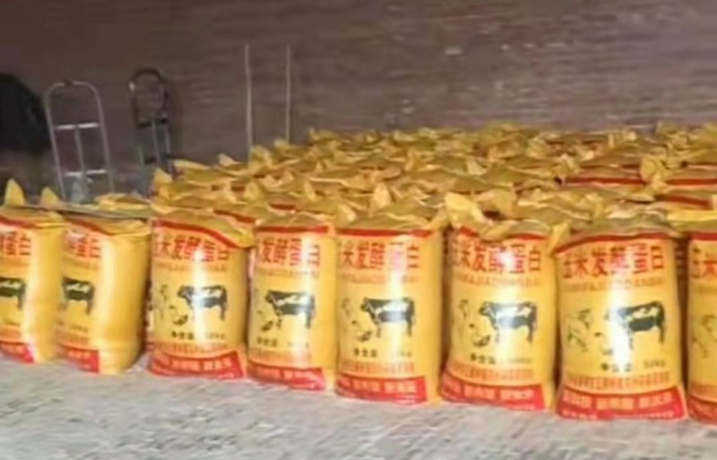 益生菌玉米蛋白发酵料提高免疫力消化系统质量保证