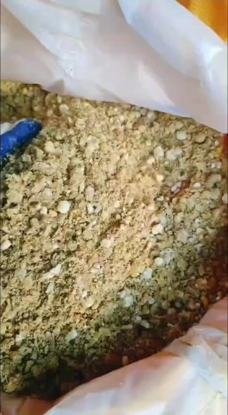 益生菌玉米蛋白发酵料提高免疫力消化系统质量保证