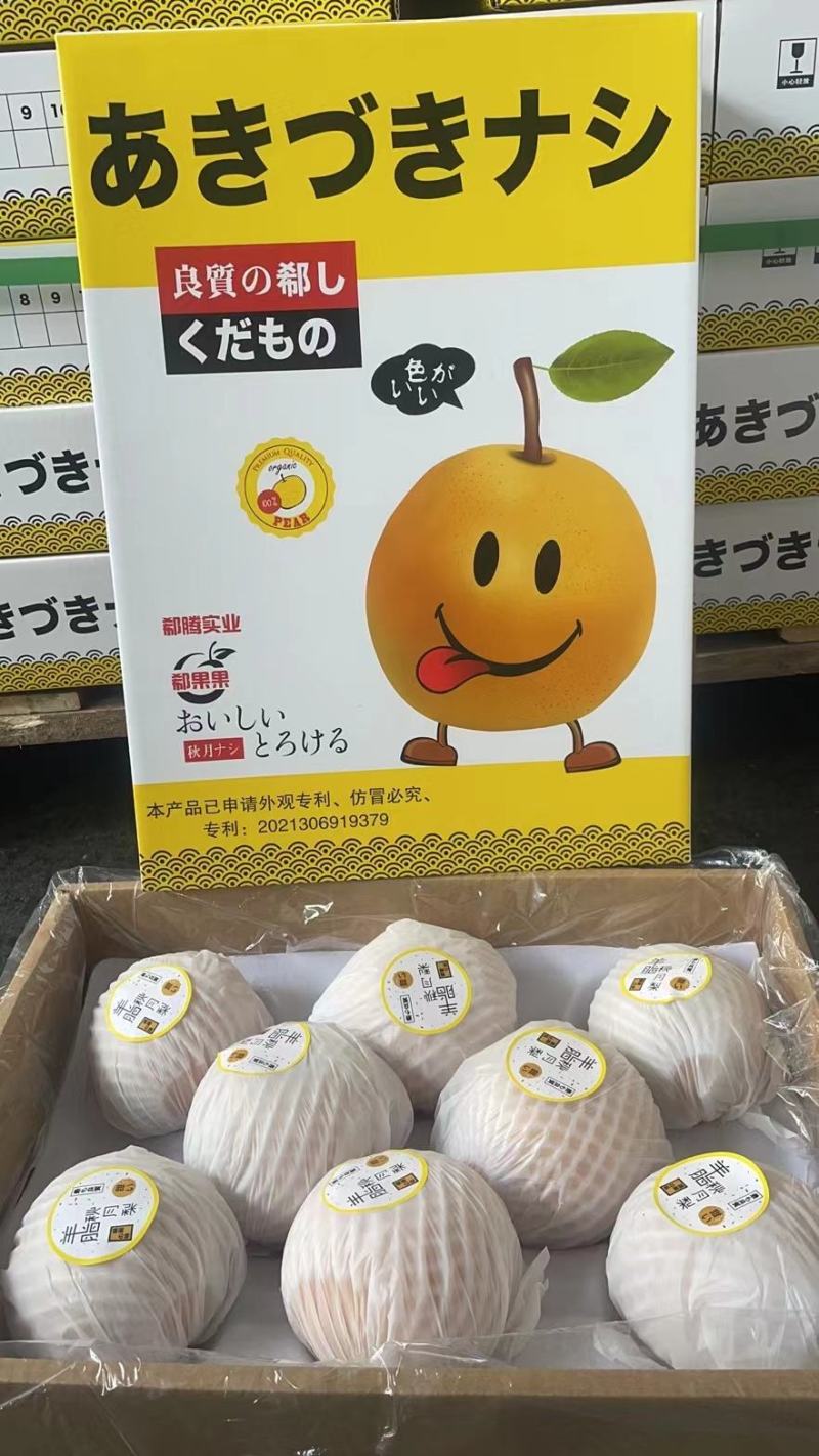 莱阳秋月梨梨秋月梨5两到1斤单规格供应底糖12以上