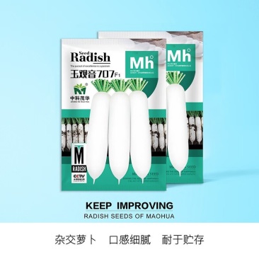 玉观音707白萝卜种子