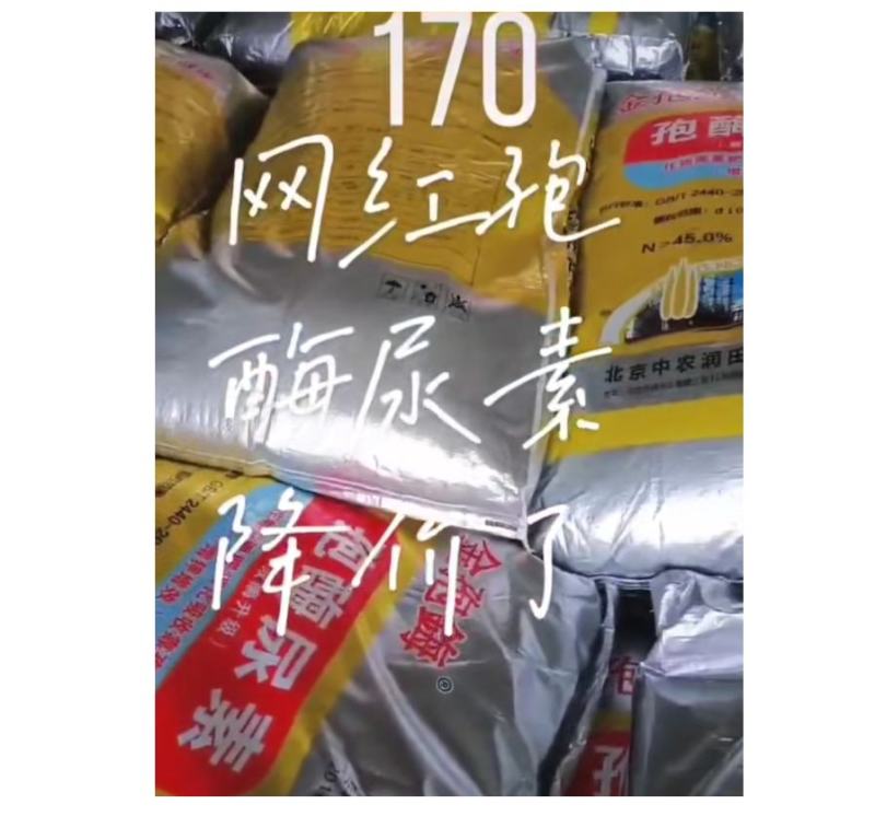 胞酶尿素