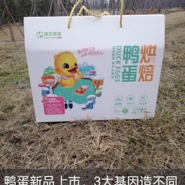 卖温泉烤鸭蛋