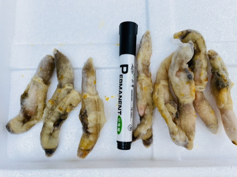 蛏王肉现剥竹蛏海鲜水产速冻麻辣熟食无沙捞汁海鲜